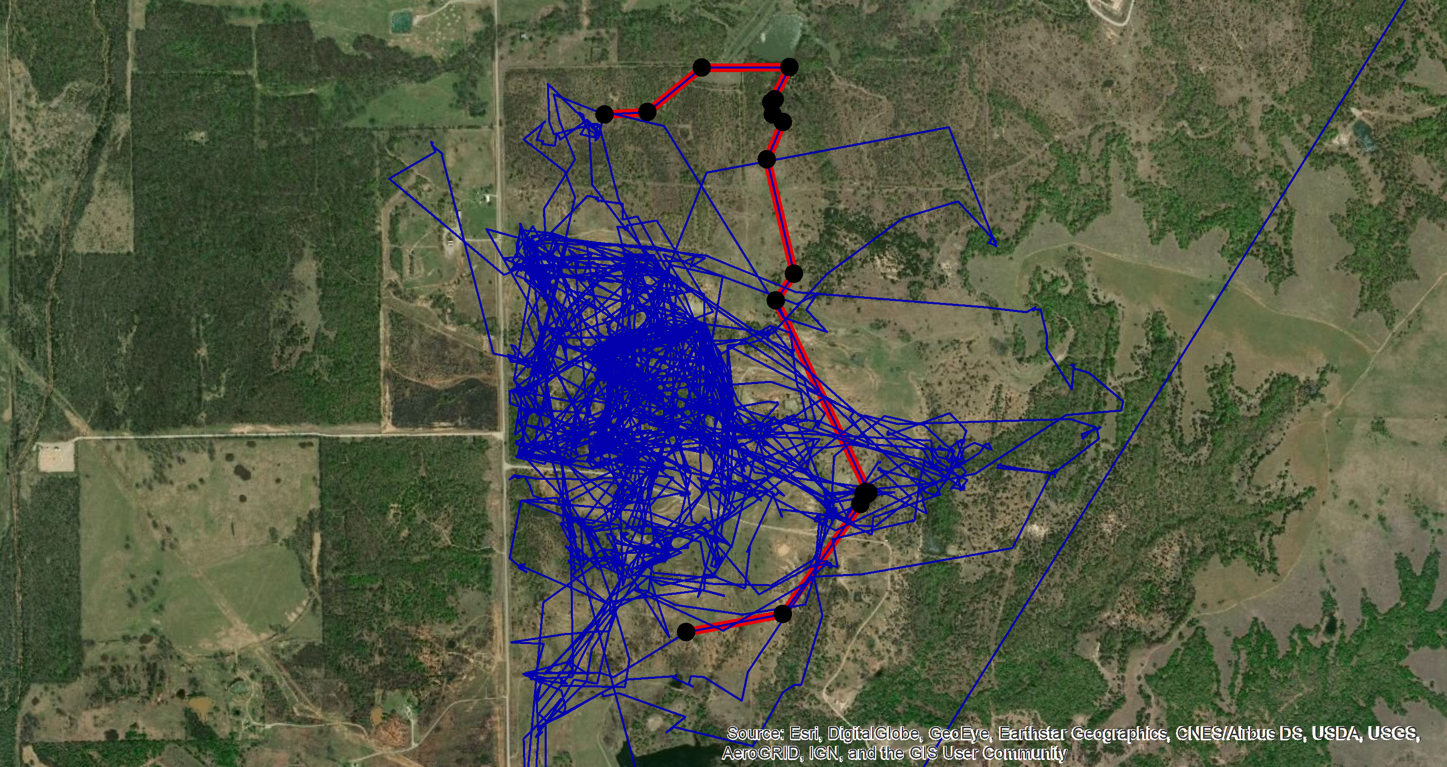 GPS Tracking Data of a White Tailed Deer